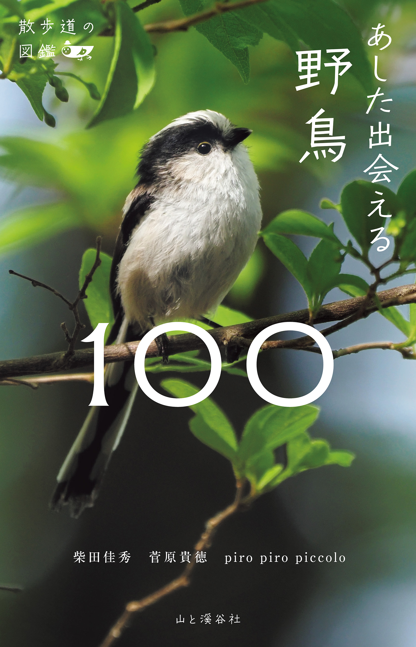 あした出会える野鳥100 (散歩道の図鑑)