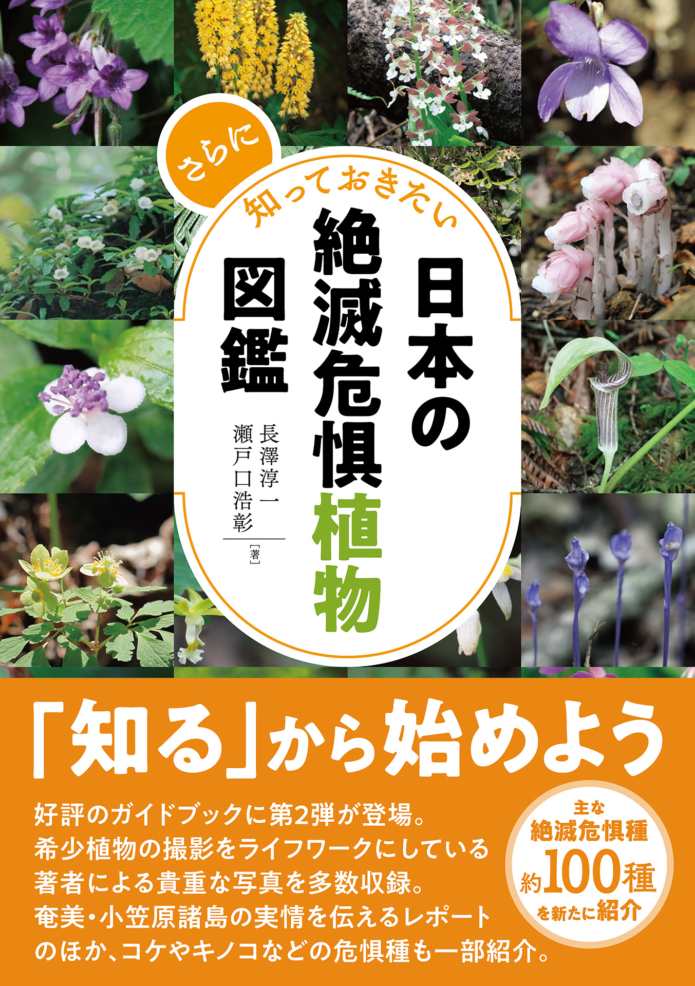日本タケ科植物総目録増補改訂版　日本タケ科植物図鑑 日本タケ科植物総目録 日本タケ科植物図鑑 「日本タケ科植物総