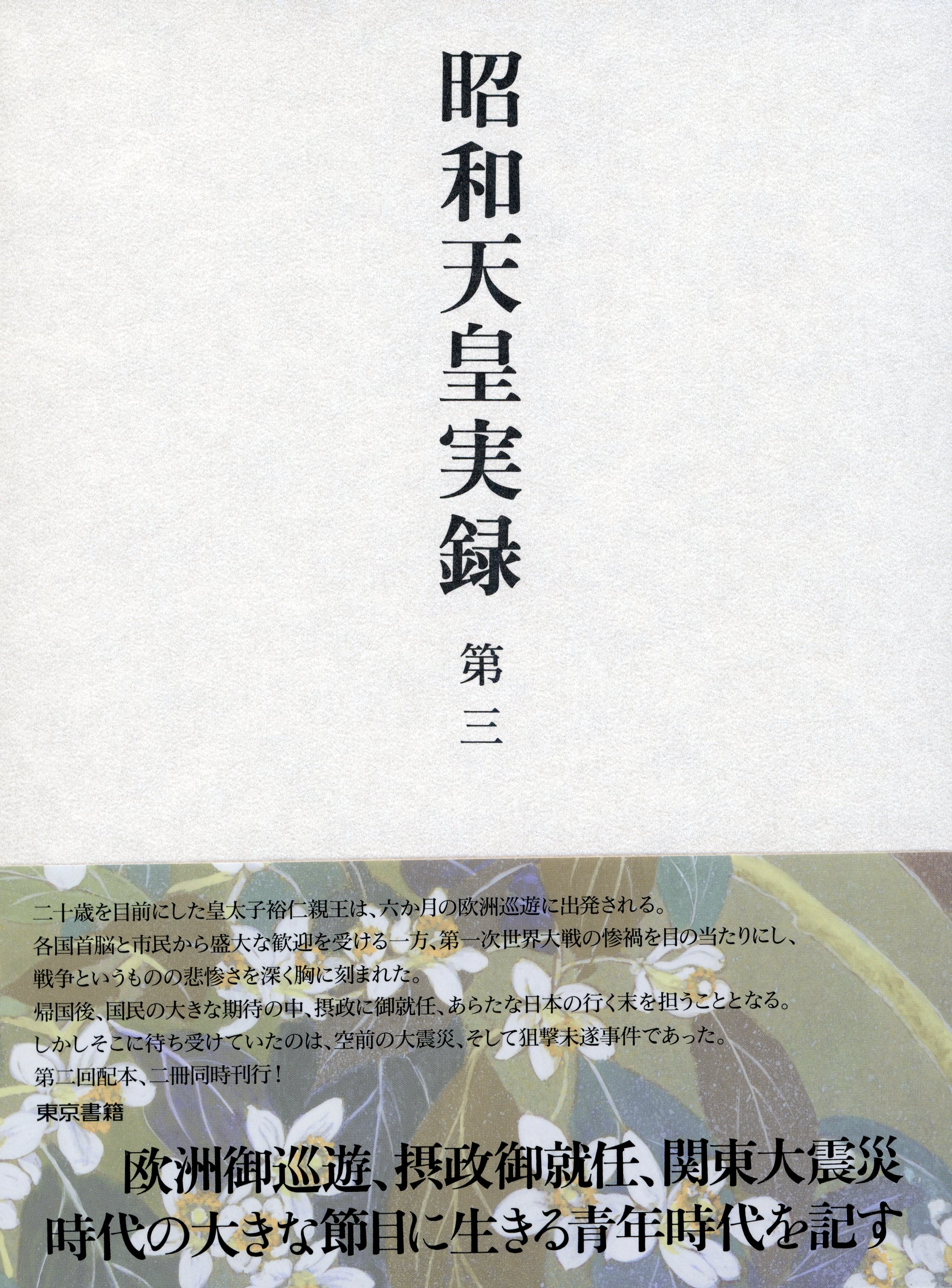 昭和天皇実録　第1〜18 人名索引・年譜 Amazon.co.jp: 昭和天皇実録 全巻 (第1〜18巻、人名牽引年譜の巻